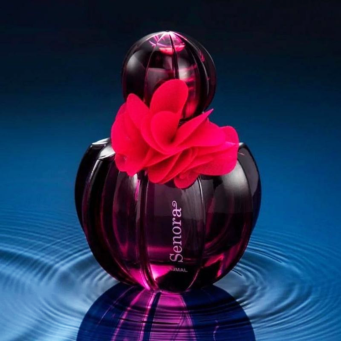 Women Fashion Accessories